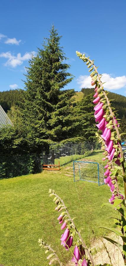 Pension Renata Harrachov Dış mekan fotoğraf